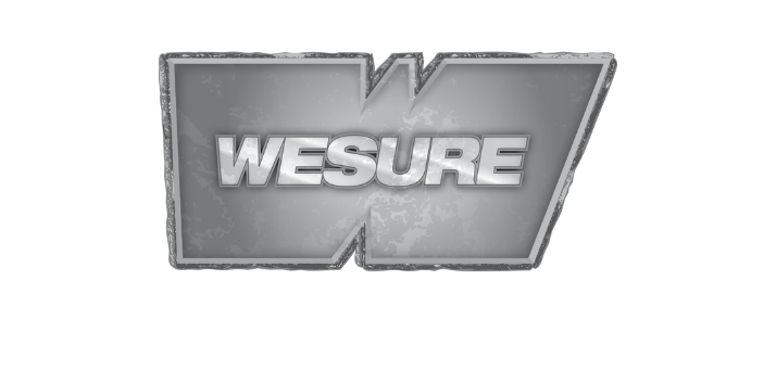 Logo Wesure
